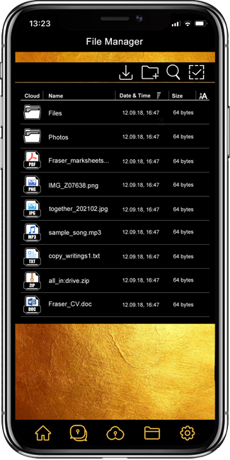 File Manager